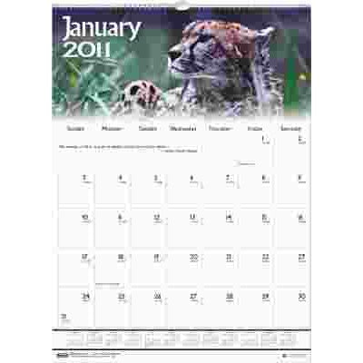 CALENDAR,WALL,MNTH12X16.5