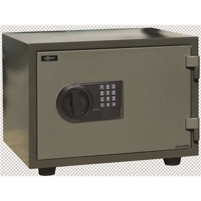 E5LP ELEC LOCK SAGE 9"X14"