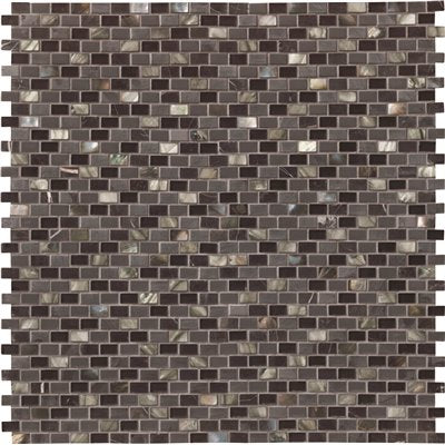 TILE 12X12 MIDNIGHT PEARL