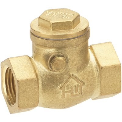 3/4" FIPxFIP SWNG CHCK VALVE