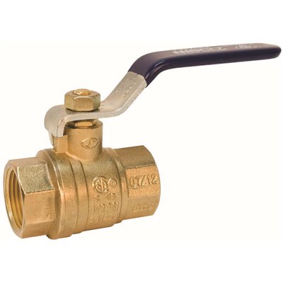 BALL VALVE FIP 1/2", LF