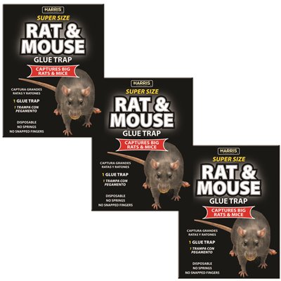 RAT/MOUSE GLUE TRAP 3PK