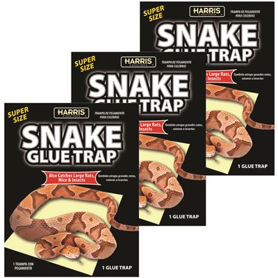 SNAKE GLUE TRAP SUPER 3PK