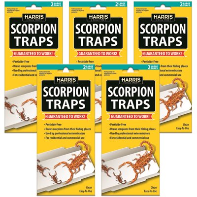 SCORPION GLUE TRAP 5PK