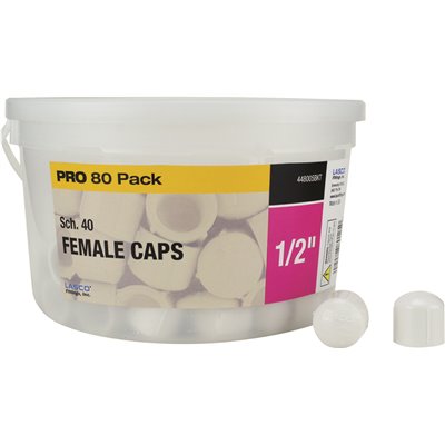 1/2" SCH 40 PVC FEM CAP 80PK